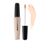 ILLUMINATOR CONCEALER (01 Ivory)