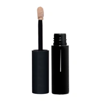 Luminous Tinted Eyeshadow Base