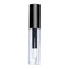 LIP GLAZE (01 Clear)